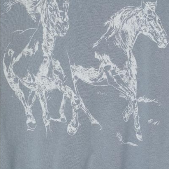 H&M Wild West Cropped Hoodie - Picture 5 of 5